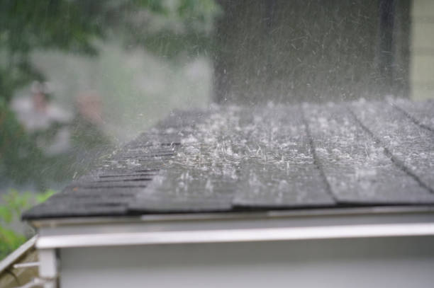 Best Skylight Installation and Repair  in Stoughton, WI