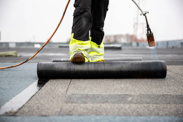 Best Sheet Metal Roofing  in Stoughton, WI