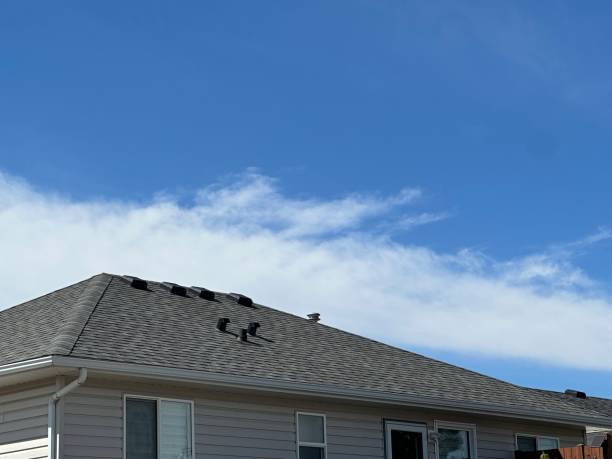 Best Roof Insulation Installation  in Stoughton, WI